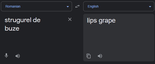 google translate strugurel