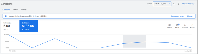 grafic perioada 16-24 februarie optimizare cont Google Ads